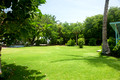 Front yard of 88 Puako